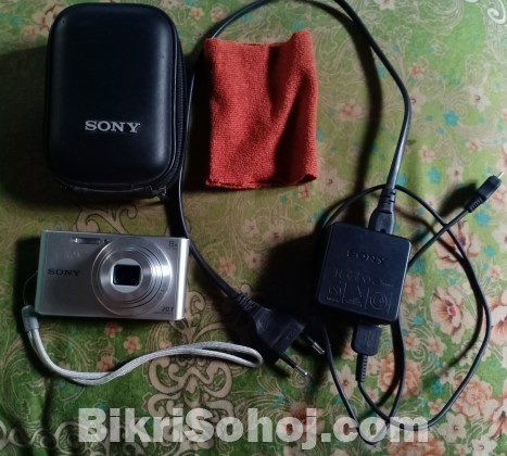 Sony 20megapixel